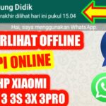 Cara wa centang 1 tapi online