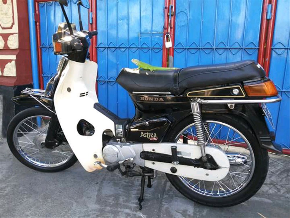 C800 honda bandung